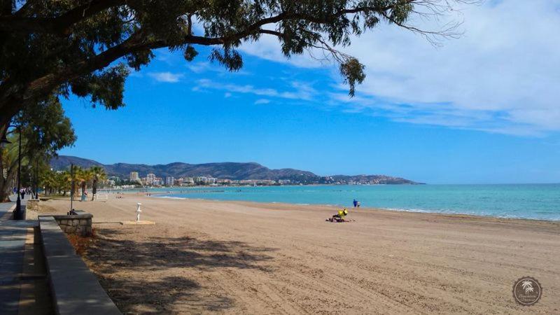 Apartamentos Centro Benicasim ベニカシム エクステリア 写真
